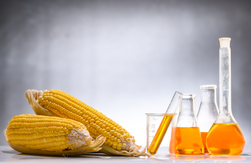 Biofuel_Corn
