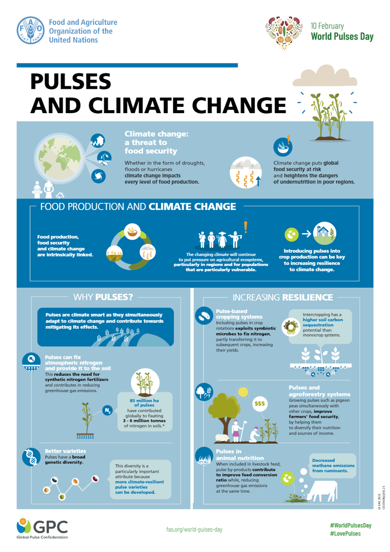 Pulses and climate change1